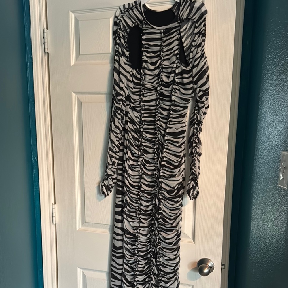 Zebra Print Long Sleeve Dress